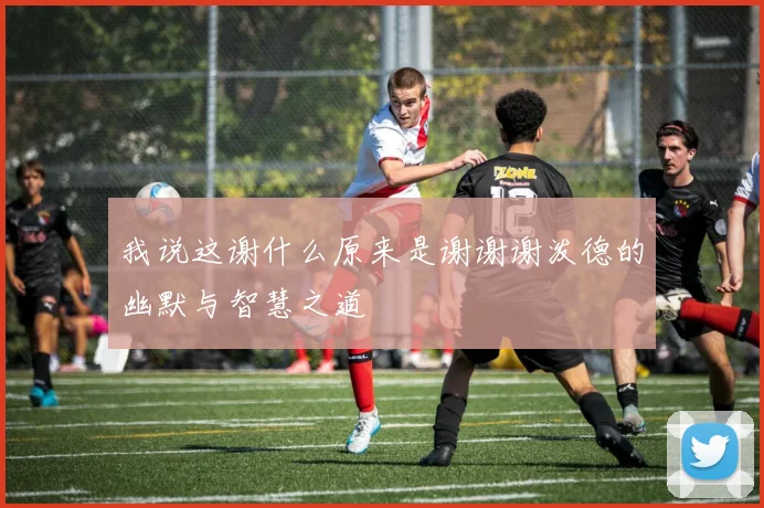 我说这谢什么原来是谢谢谢泼德的幽默与智慧之道