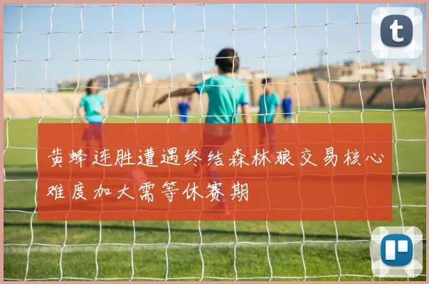 黄蜂连胜遭遇终结森林狼交易核心难度加大需等休赛期