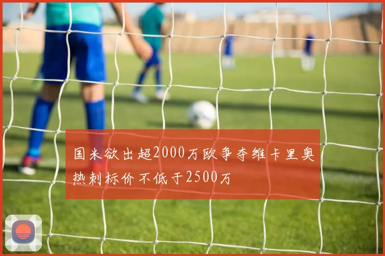 国米欲出超2000万欧争夺维卡里奥热刺标价不低于2500万