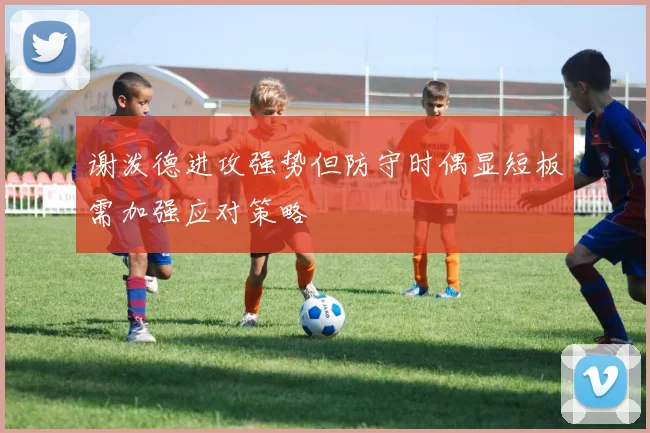 谢泼德进攻强势但防守时偶显短板需加强应对策略