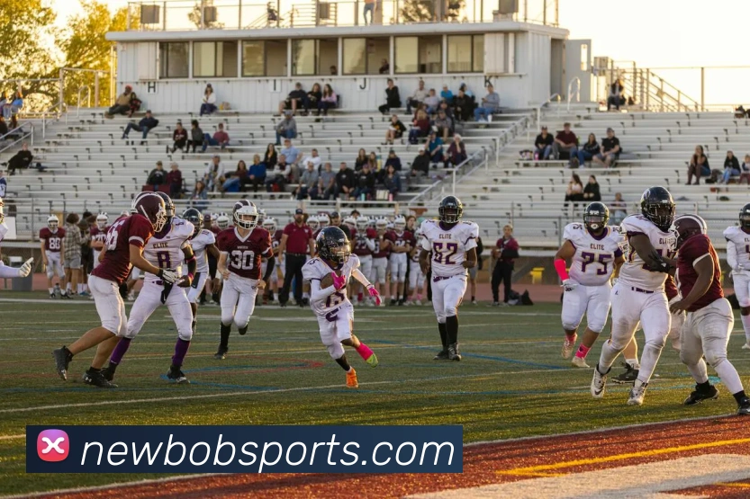 BOB体育服务体系